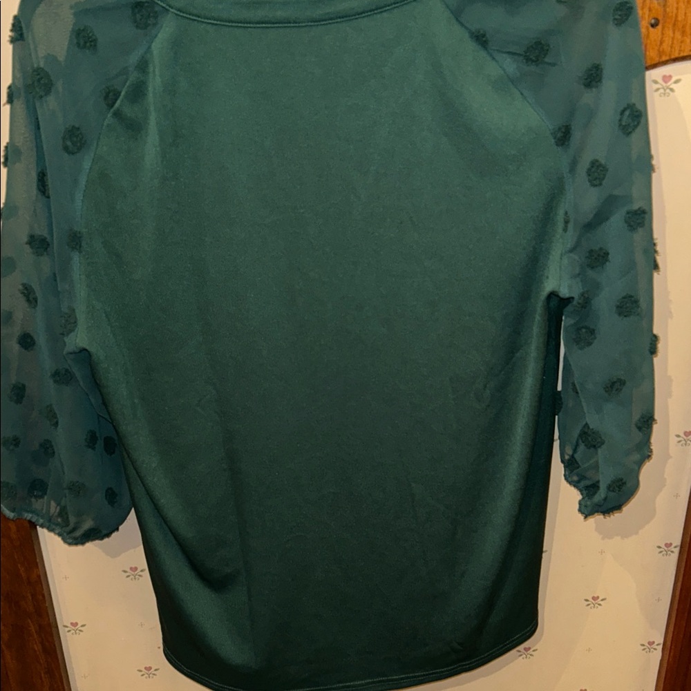 Bothenial Green Blouse with Sheer Sleeves - Picture 4 of 5